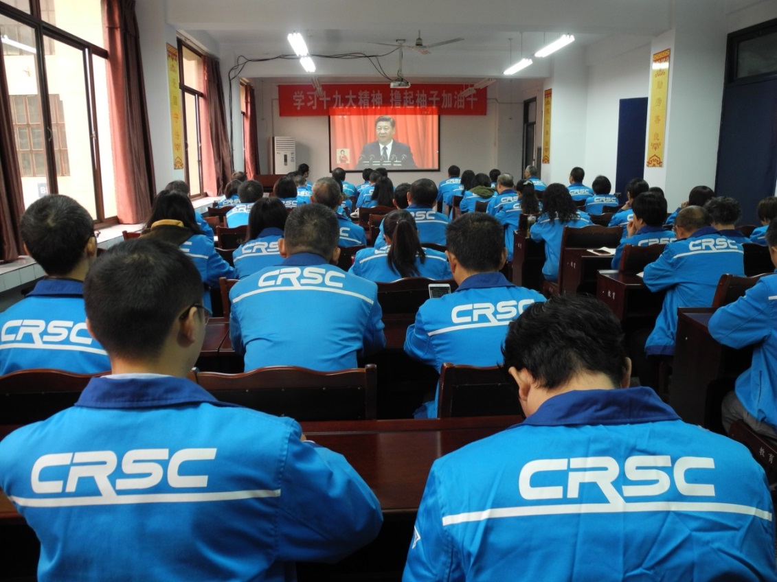 成通公司组织全体党员收看十九大盛况