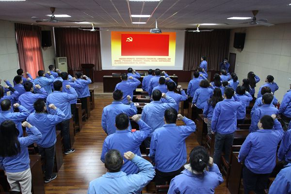 重温入党誓词  牢记党员使命  电缆集团在行动
