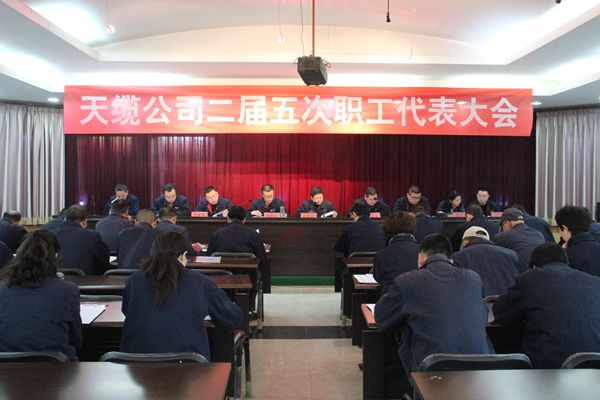 电缆集团天缆公司召开二届五次职工代表大会