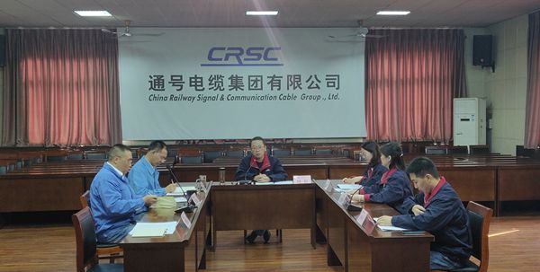 电缆集团纪委学习宣传贯彻党的二十大精神
