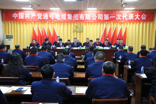 中国共产党通号电缆集团有限公司第一次代表大会胜利召开 