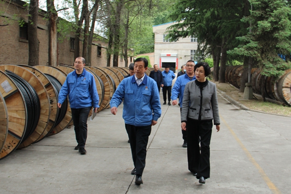 天水市人大常委会副主任李焕珍莅临天缆公司调研 