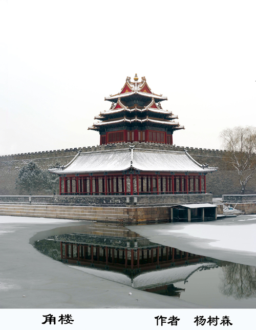 a85-杨树森-1
